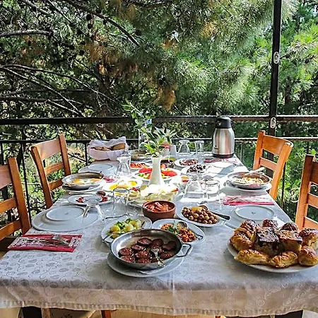 Dusler Vadisi Kazdaglari Hotel Gure