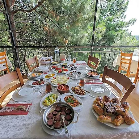 Dusler Vadisi Kazdaglari Hotel 3*