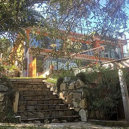 Hotel Dusler Vadisi Kazdaglari