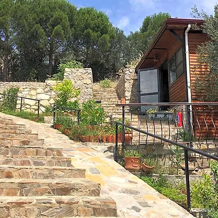 Hotel Dusler Vadisi Kazdaglari Gure