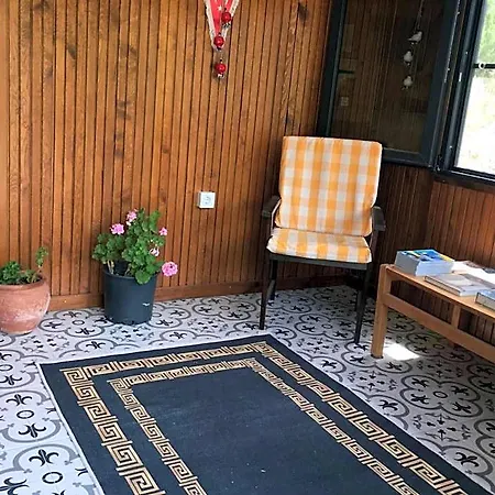 Dusler Vadisi Kazdaglari 3* Gure